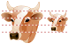 Cow head icons