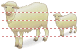 Sheep icons